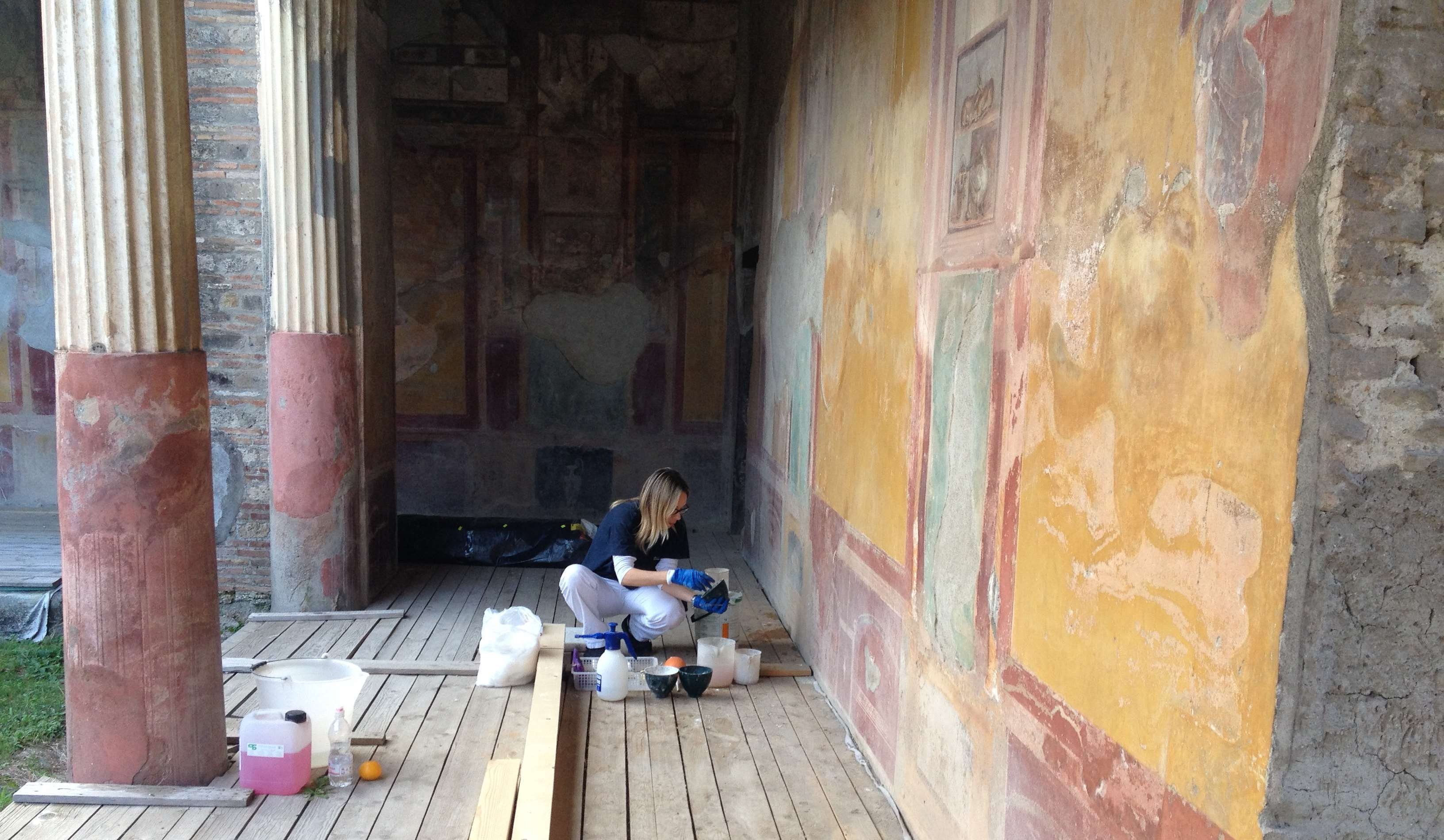 La conservazione a Pompei: un tema multidisciplinare